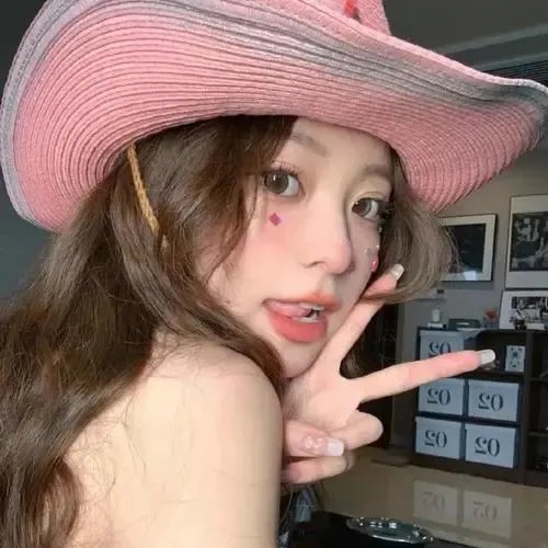 不死鸟之恋