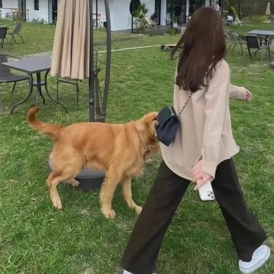 奇葩追梦